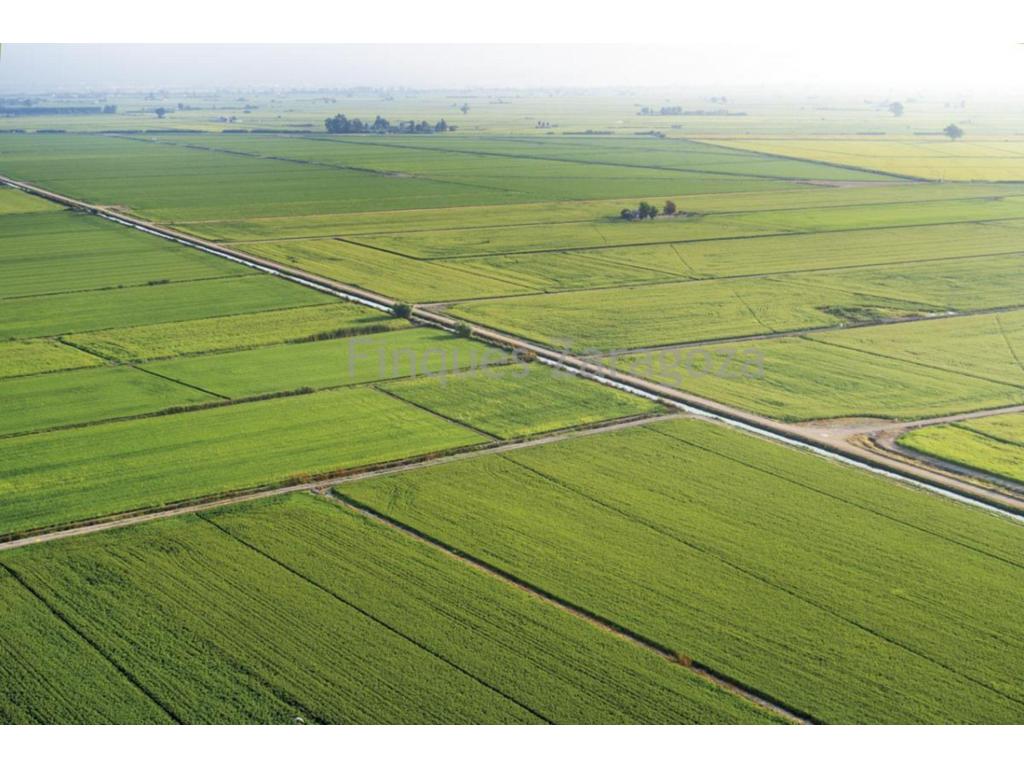  Rice field for sale in Deltebre, located in a well-established agricultural area. The property has an approximate surface area of 9,827 m², equivalent to 4.48 local jornales.